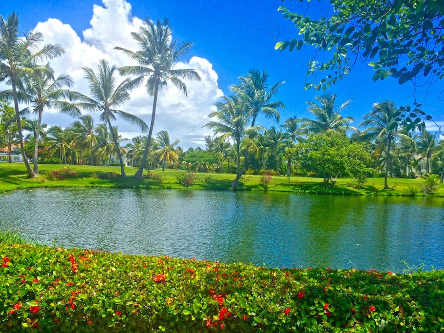 Nearby pond. You can enjoy these charming views just walking around.