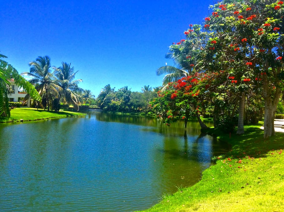 Nearby pond. You can just walk around and enjoy these lovely views every day!