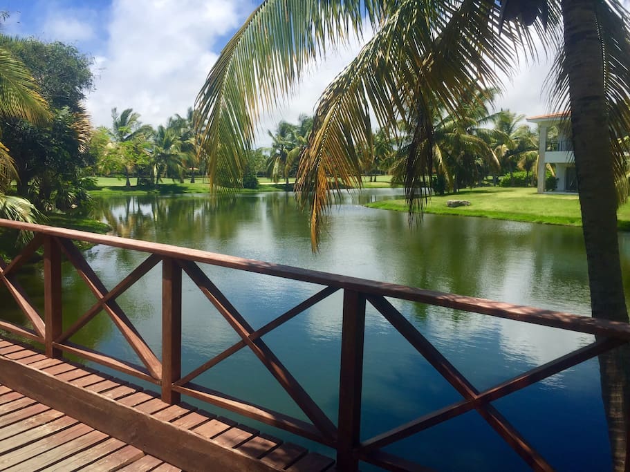 Enjoy amazing, stunning views on the Cocotal territory!