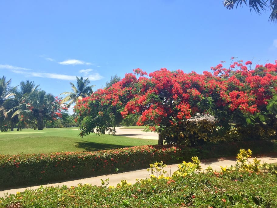 Everything is blossoming around. Flower garlands, pleasant smells... Unique experience, amazing feeling of freedom and peace.