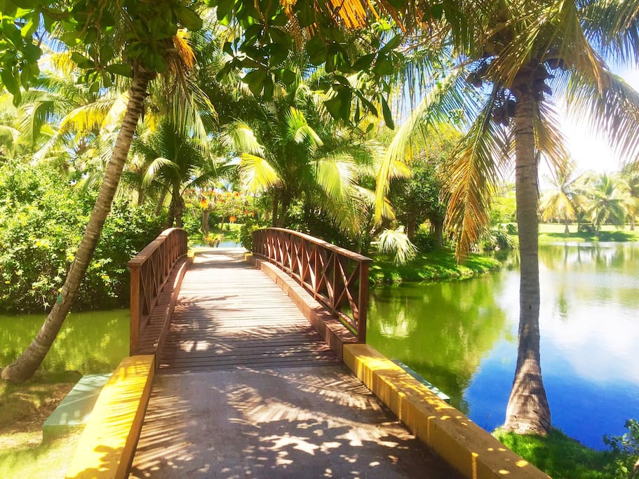 Just walk and enjoy this charming environment.