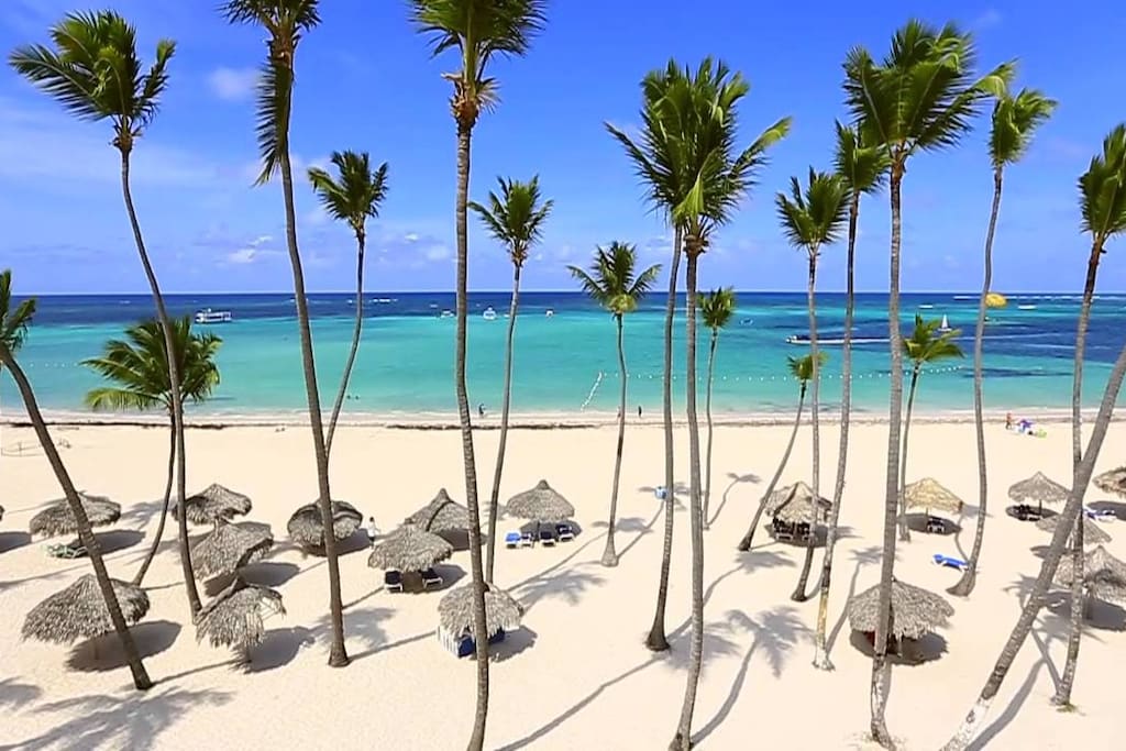 This is what the beach looks like. Number one view in Punta Cana!