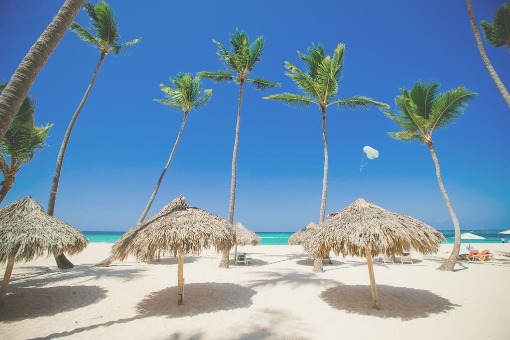 If you do not like the sun, there is always some shade for you. Just choose the most comfortable place!