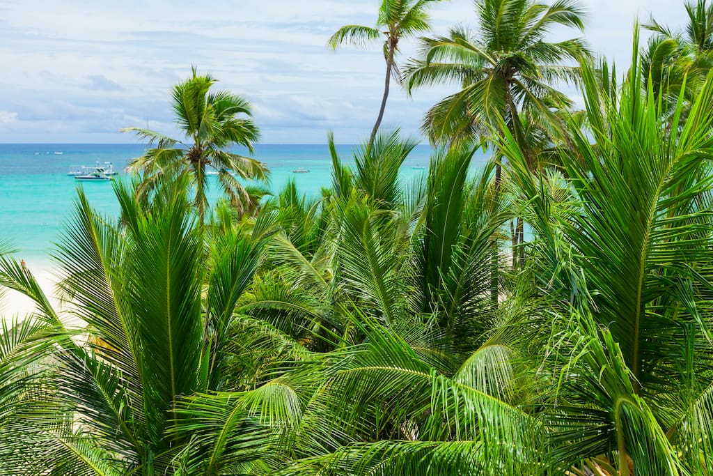 The greenery of the vegetation and the turquoise blue of the ocean and the sky make the best combination for your holiday.