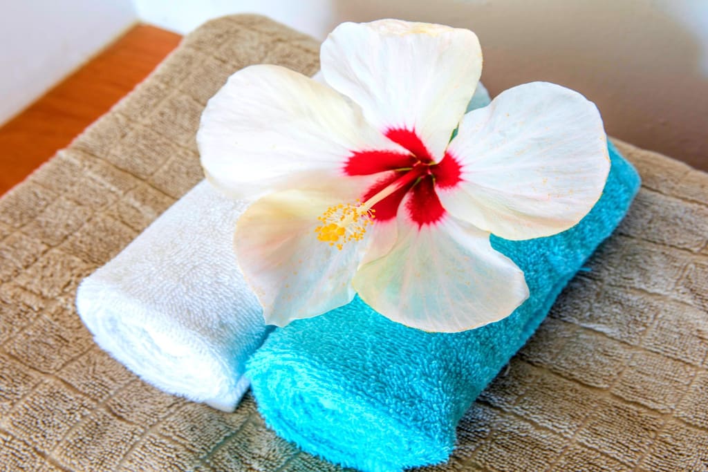 We always have some beautiful details for you. Feel our care about your vacation!