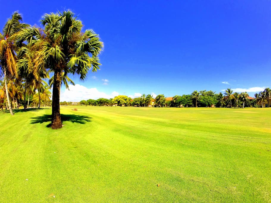 Enjoy the beauty of the golf course! The green grass and bright sky will make you want to stay here forever