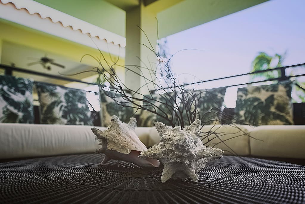 We provide the best service in Punta Cana and want YOU to get the best emotions from your stay in this apartment. Please, contact us if you have some questions.