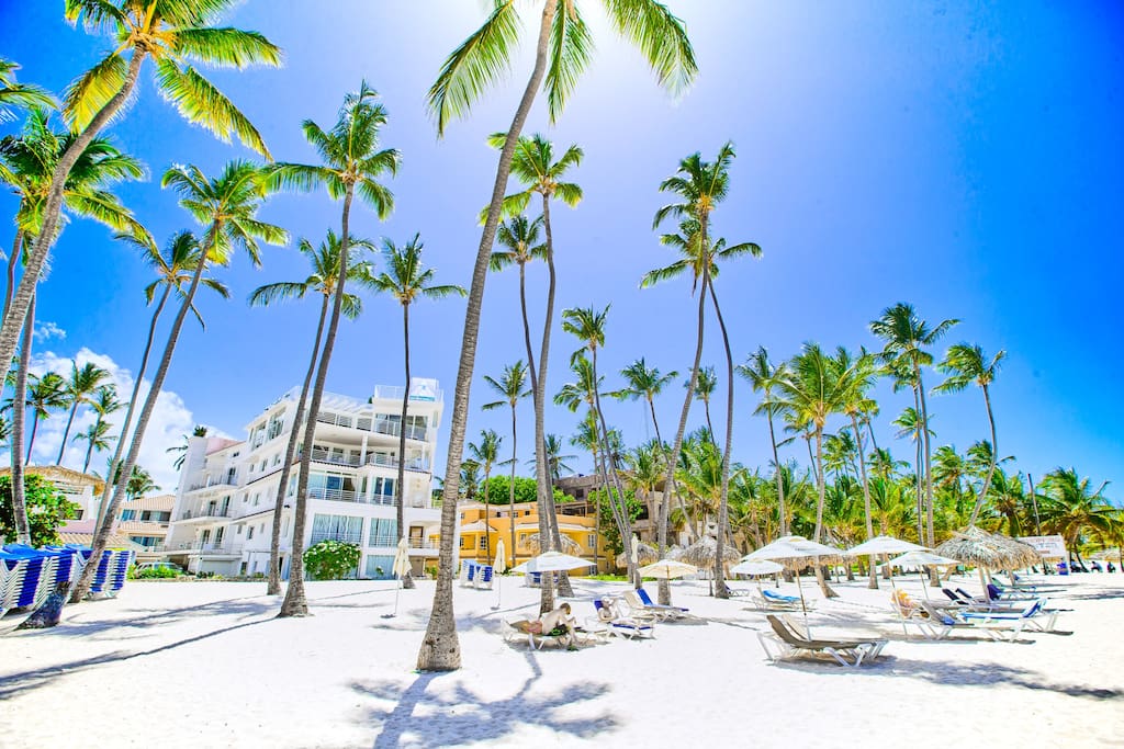 Amazing area with everything you need within walking distance. The BEST location ever.