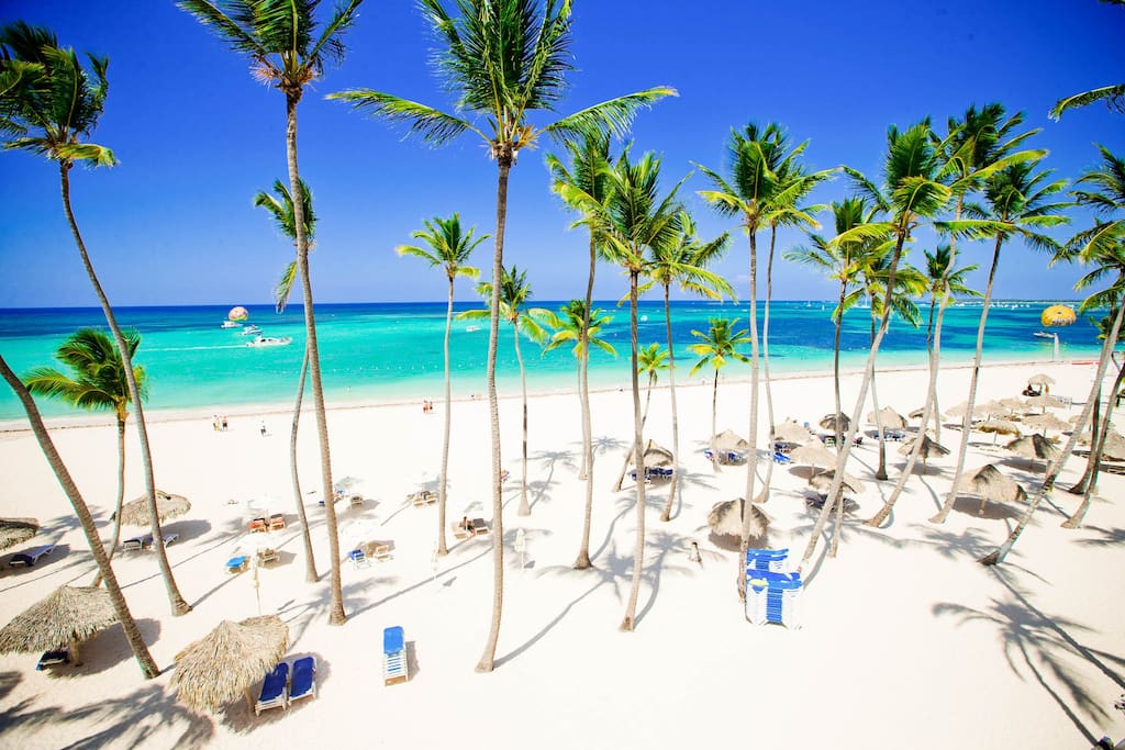 These breathtaking views are worth the money you pay. Truly unique experience in Punta Cana.