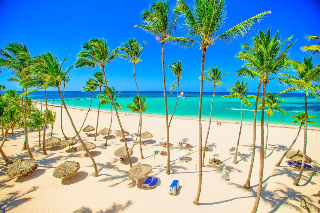 Choose our beachfront accommodation to get the most out of your trip!