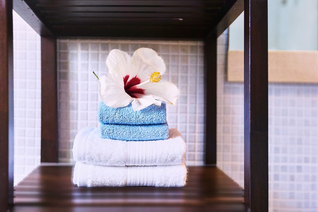 Feel the total comfort in details: fresh clean towels, flowers and the cleaning service in the apartment. Enjoy amazing, stunning views from your window!