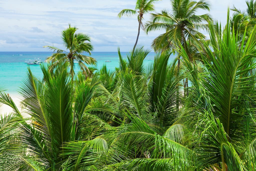 This beach is TWO minutes away. In addition it's really close to the beach. The advantage of this place - it is private and quiet. Just a bit further from the beach noise and hustle. Enjoy the best beach in the area. Check other photos you will love it.