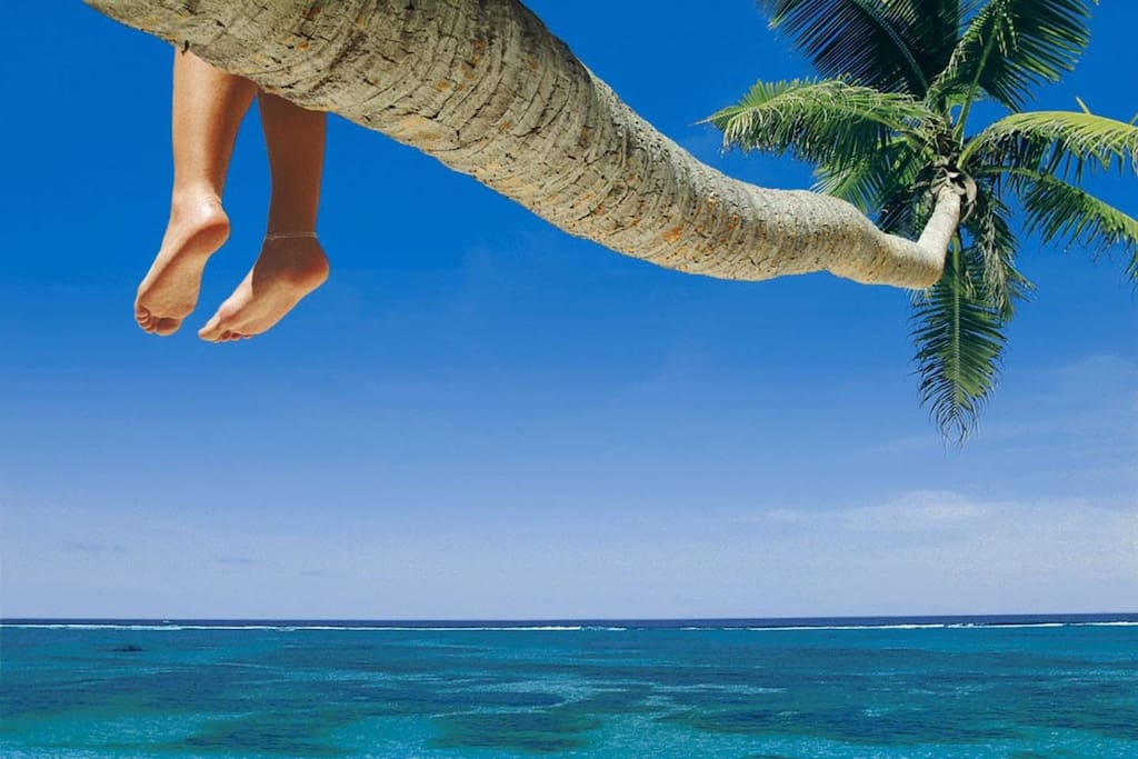 Book this apartment and get a vacation of your dreams.