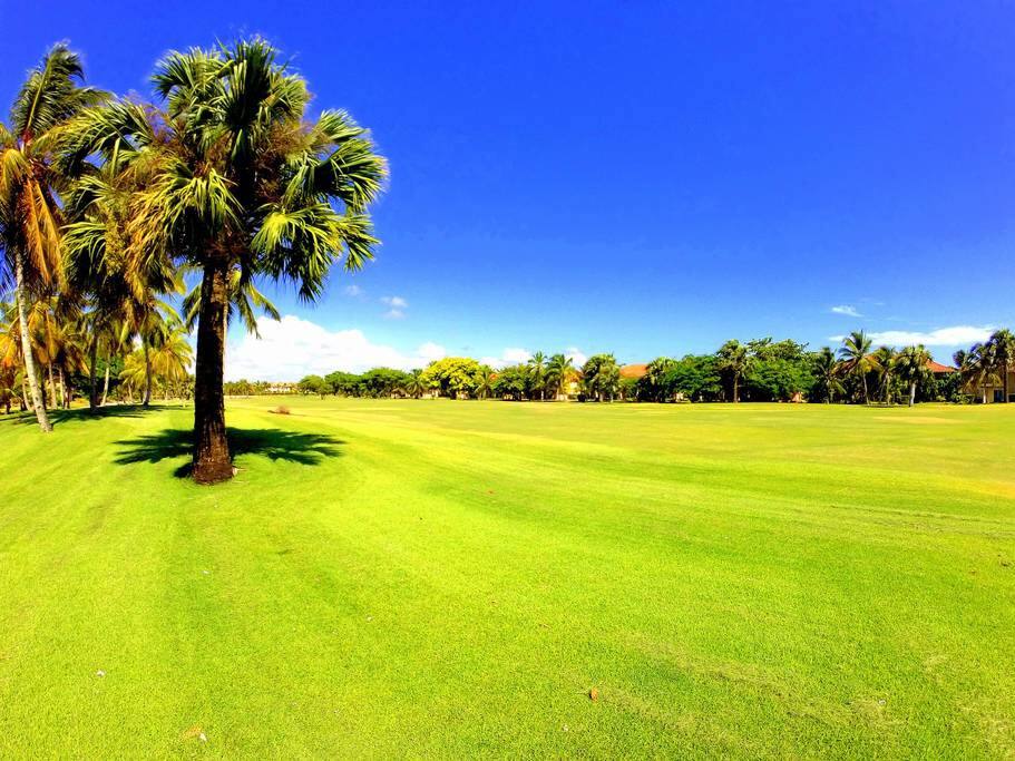 View of the Golf course. You can take Golf lessons at an additional cost.