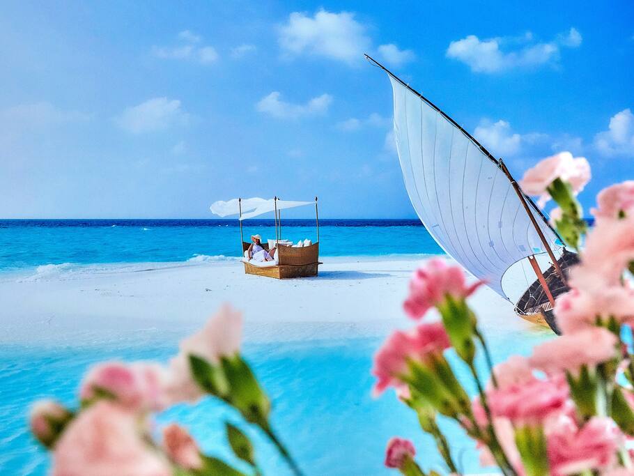 Do you want a set of pictures from the paradise? Book right now your vacation in Punta Cana!