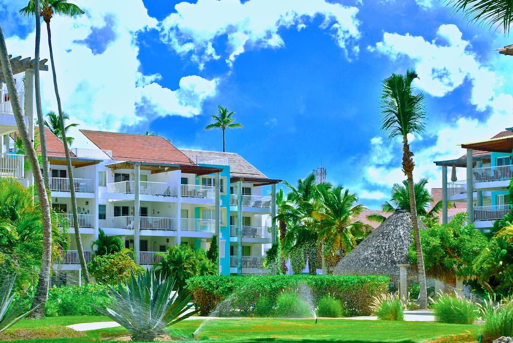 You will be staying at an apartment surrounded by the greenery: tall palm trees, aloe and tropical cacti