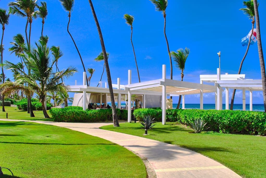 This is what the beach looks like: tall palm trees, blue warm ocean and large, well organised sandy beach with lovely tents