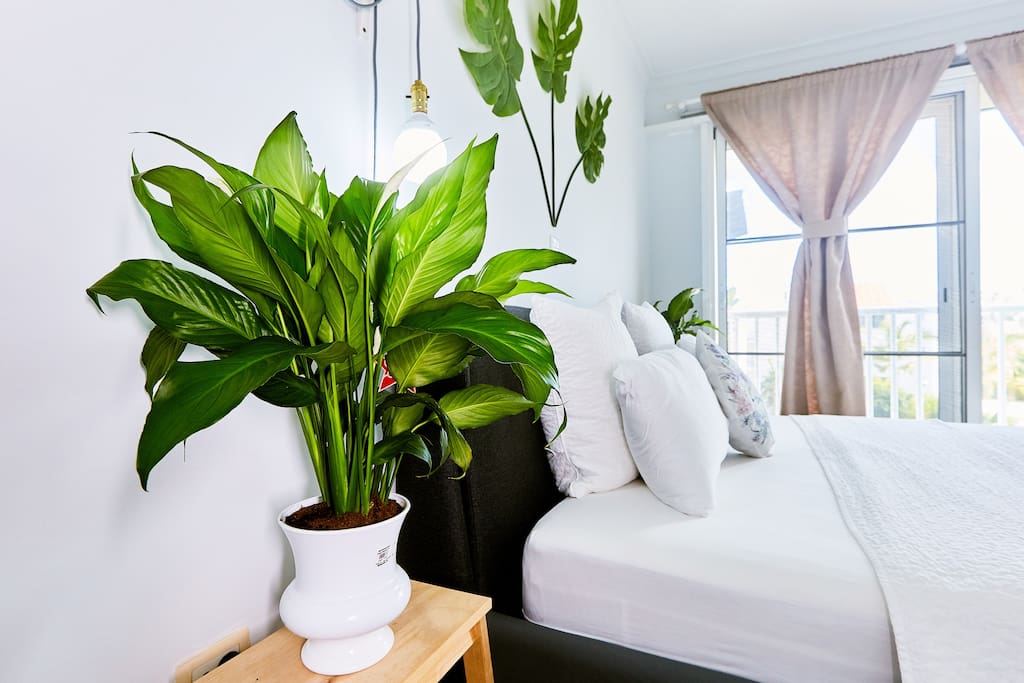Green plants will help you relax and have a good rest.